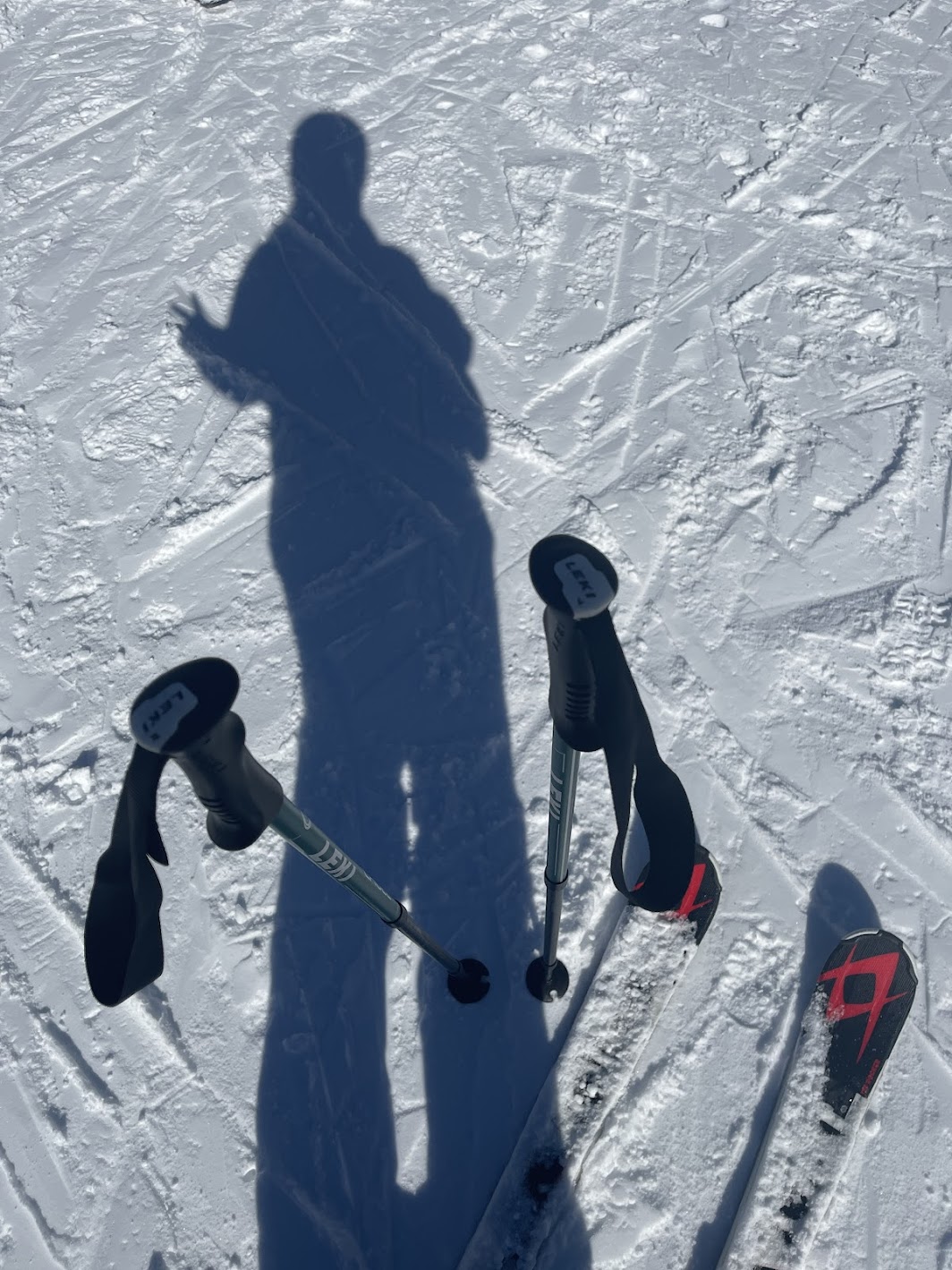 How positive psychology helped me overcome my fear of skiing - By Holly Wood